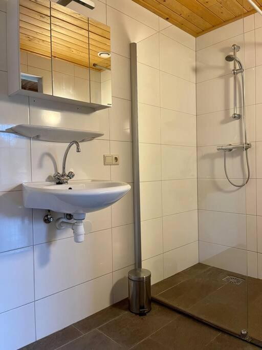 Unieke Houten Villa Met Sauna In Twente - 6P Den Ham Zewnętrze zdjęcie