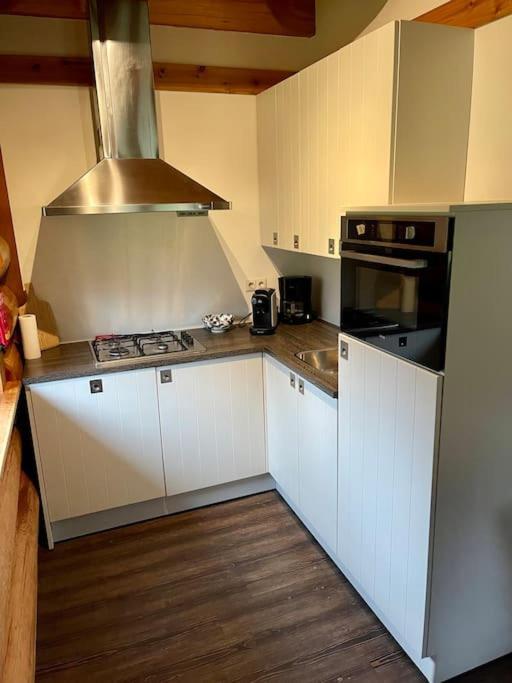 Unieke Houten Villa Met Sauna In Twente - 6P Den Ham Zewnętrze zdjęcie