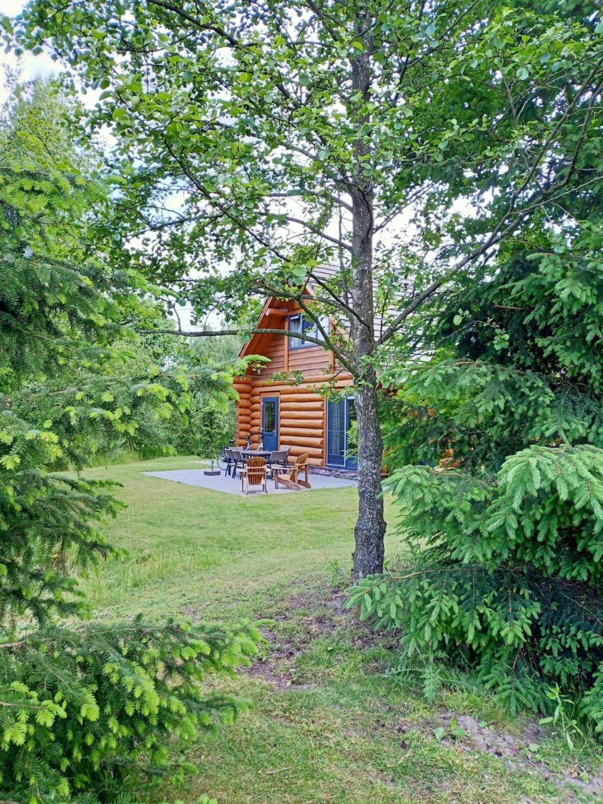 Unieke Houten Villa Met Sauna In Twente - 6P Den Ham Zewnętrze zdjęcie