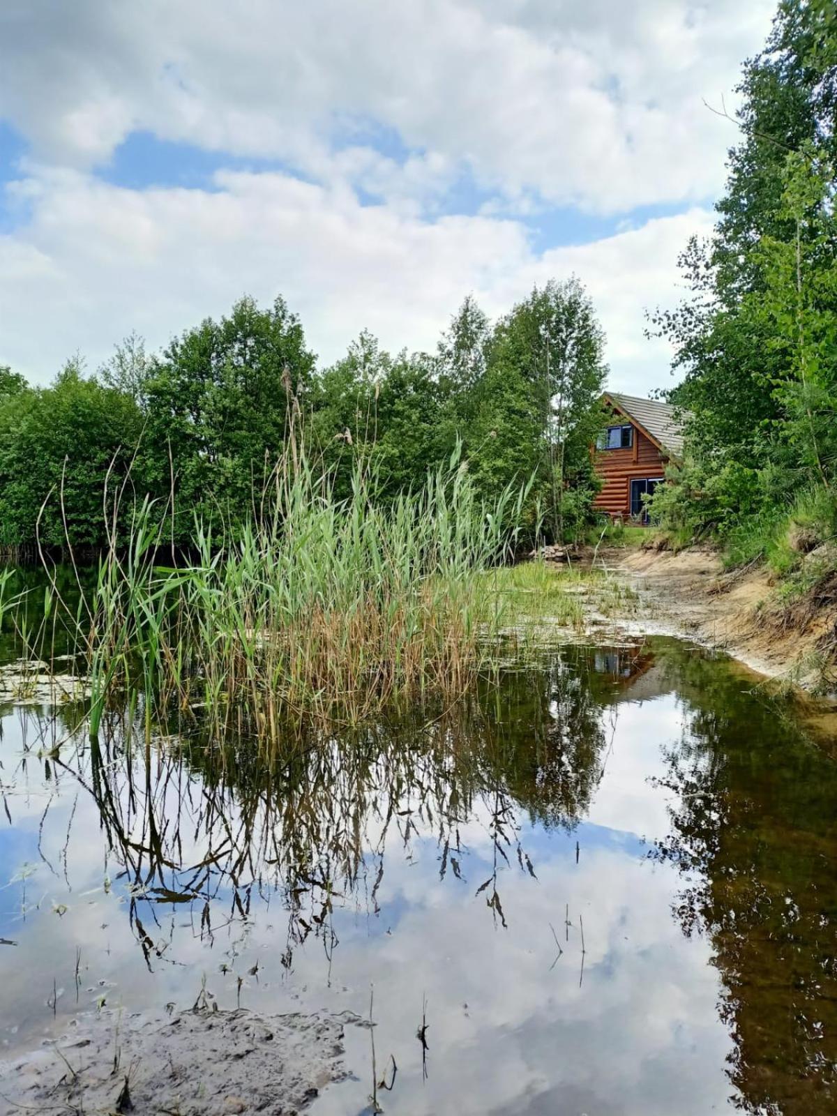 Unieke Houten Villa Met Sauna In Twente - 6P Den Ham Zewnętrze zdjęcie